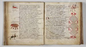 Il manoscritto medievale delle “Metamorfosi” di Ovidio\ ilmondodisuk.com