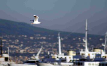 Mergellina | ilmondodisuk.com