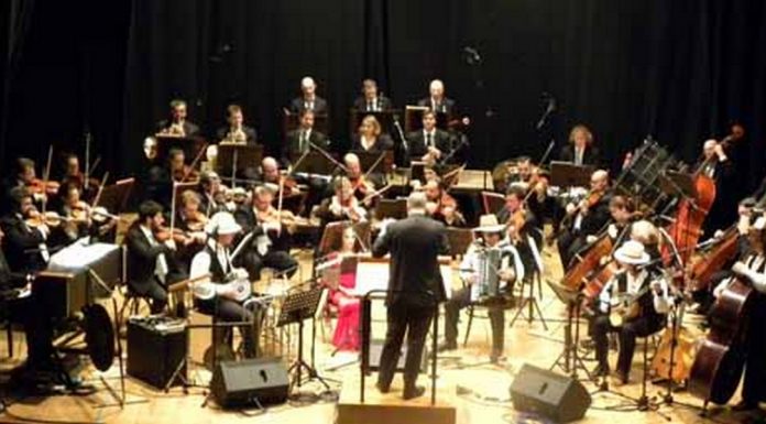Nelle foto, l'Orchestra europea per la pace in concerto a Strasburgo\ilmondodisuk.com