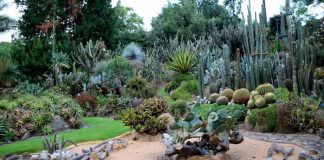 orto botanico di Napoli | ilmonddoisuk.com