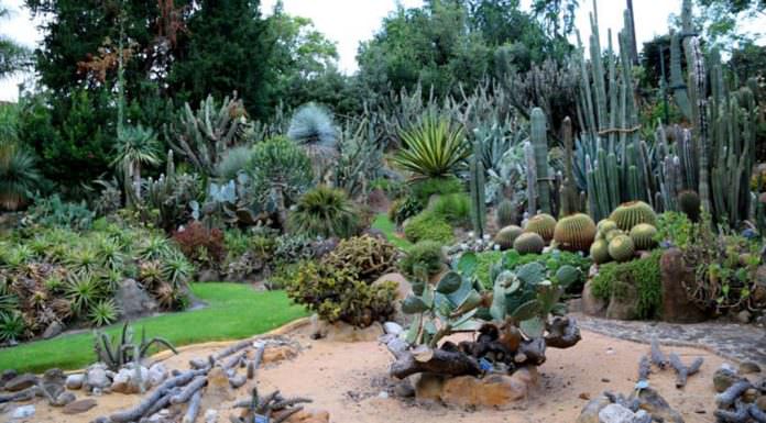 orto botanico di Napoli | ilmonddoisuk.com