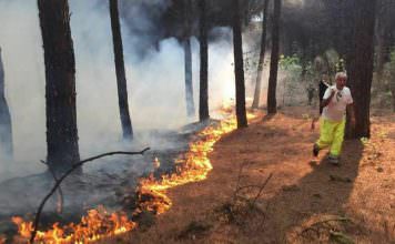 lingue di fuoco | ilmondodisuk.com