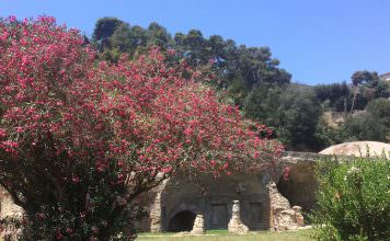 Baia | ilmondodisuk.com