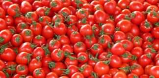 pomodori | ilmondodisuk.com