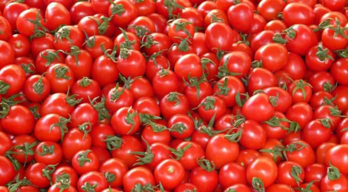 pomodori | ilmondodisuk.com