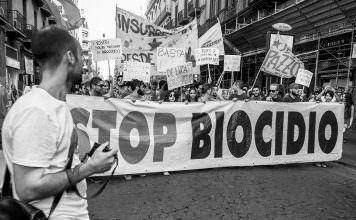 La protesta/Il comitato #Stopbiocidio si mobilita contro i roghi infiniti stopbiocidio| ilmondodisuk.com