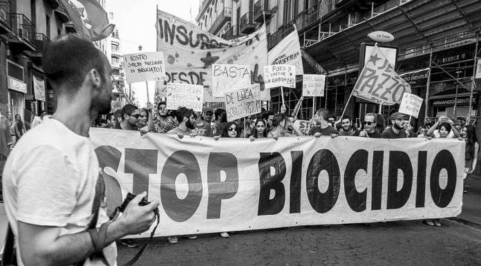 stopbiocidio| ilmondodisuk.com