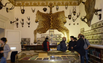 biblioteca nazionale| ilmondodisuk.com