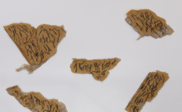 Naturae| ilmondodisuk.com