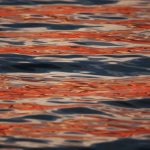 Nelle foto, un'anteprima della mostra\ ilmondodisuk.com