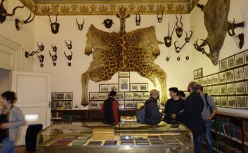 biblioteca nazionale di napoli| ilmondodisuk.com