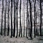 Fullmoon| ilmondodisuk.com