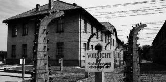 auschwitz| ilmondodosuk.com