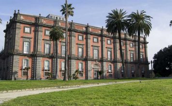 Alessio cuccaro| ilmondodisuk.com