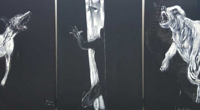 Elio alfano| ilmondodisuk.com