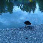 lago amburgo| ilmondodisuk.com