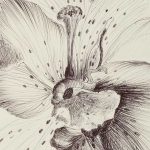 Lucia Gangheri| ilmondodisuk.com