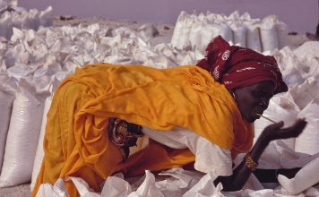 Fotografie al ristorante “Mangiafoglia”: Mimmo Ramires e i volti della gente in giro per il mondo senegale| ilmonddoosik.com