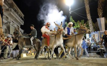 La manifestazione/Santa Maria la Carità festeggia il palio del ciuccio con asini a tutta birra ciuccio| ilmondodisuk.com