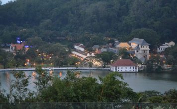 4/Taccuino di viaggio da Sri Lanka: magia di un luogo tra il dente di Buddha e il sogno di Sindbad