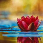 ambiente| ilmondodisuk.com