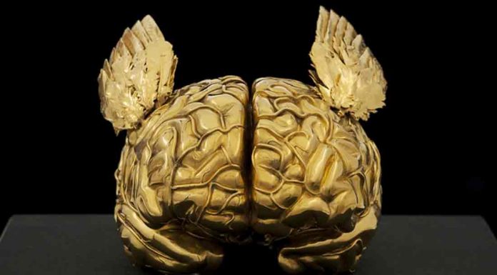 Jan Fabre| ilmonddoisuk.com