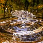 acqua| ilmondodisuk.com