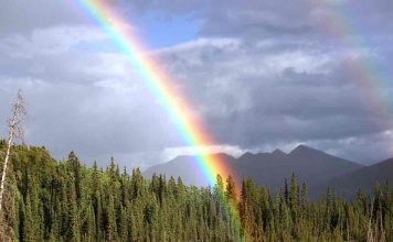 Tutti i colori del mondo/Napoli celebra i moti di Stonewall Inn del 1969. Quella prima scintilla del Gay Pride arcobaleno bellissimo| ilmondodosiuk.com