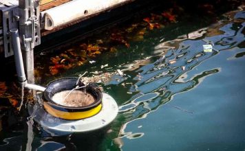 il cestino del mare| ilmondodisuk.com