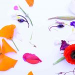 Fiori| ilmondodisuk.com