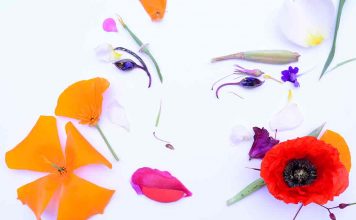 Spazio Studio49 /Artisti nel verde fotografano la vita tra bolle creative Fiori| ilmondodisuk.com