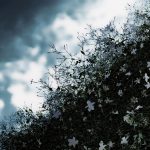 Terra dei Fuochi| ilmondodisuk.com