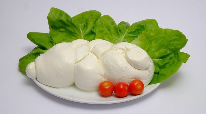 Mozzarella| ilmondodisuk.com