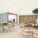 Shell| ulmondodisuk.com