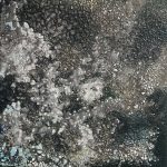 nevicata| ilmondoodisuk.com