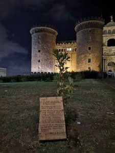 Qui sopra, invervento verde al Maschio Angioino. In alto, una giovane attivista dell'ambiente