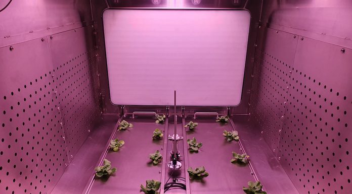 laboratorio spaziale| ilmondodisuk.com