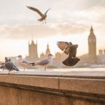 Londra| ilmondodoisuk.com