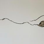 Capodrise| ilmondodoisuk.com