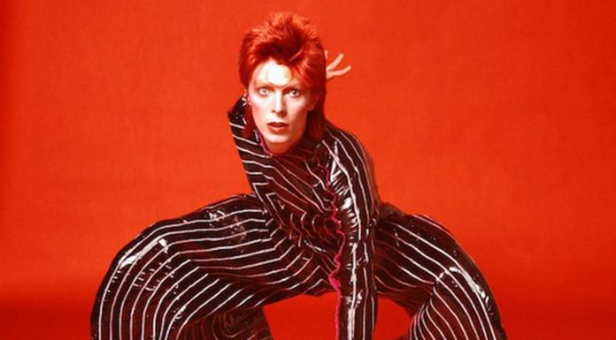 Bowie| ilmondoodisuk.com