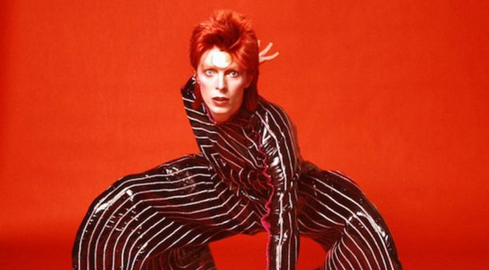 Bowie| ilmondoodisuk.com