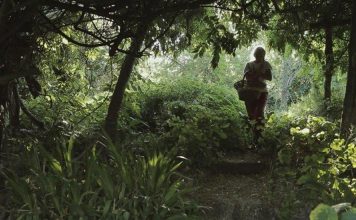 amaranto|| ilmondodoisuk.com