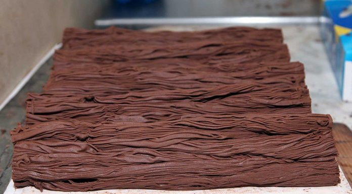 cioccolato foresta| ilmondoodisuk.com