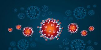 coronavirus| ilmondodoisuk.com