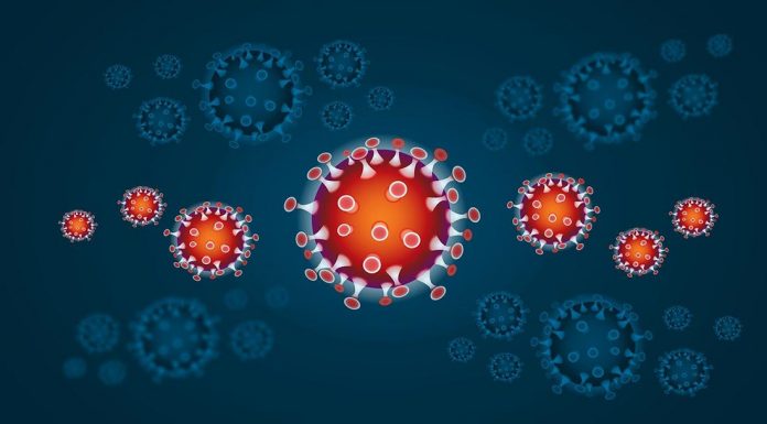 coronavirus| ilmondodoisuk.com