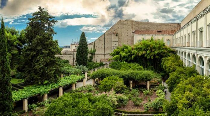 Suor orsola| ilmondodooisuk,com