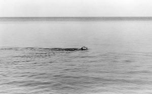 Qui sopra, il mare di Cacciapuoti. In alto, gli Infiniti di Donato