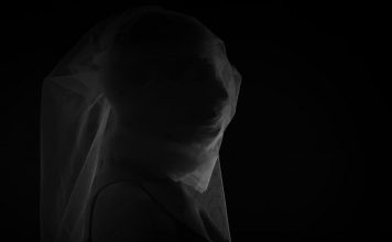 Cotovia| ilmondodoisuk.com