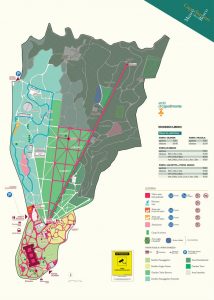 Qui sopra, la mappa del bosco. In alto, una tratto del parco dedicato ai cani