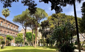 Palazzo Reale/I napoletani diventano mecenati del Giardino romantico, adottando una pianta. Visite guidate in quello pensile restaurato nel 2018